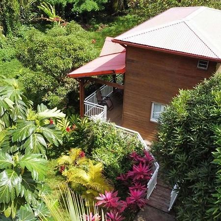 Mahogany Lodge - Oasis Cosy Riviere-Pilote Екстер'єр фото