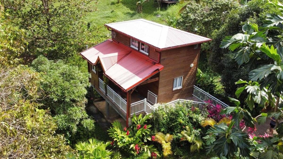 Mahogany Lodge - Oasis Cosy Riviere-Pilote Екстер'єр фото
