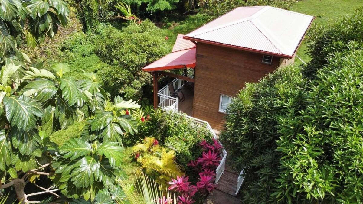 Mahogany Lodge - Oasis Cosy Riviere-Pilote Екстер'єр фото
