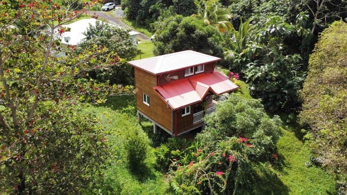 Mahogany Lodge - Oasis Cosy Riviere-Pilote Екстер'єр фото